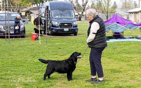 SJVLRC 2025_Goldie 1