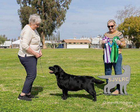 SJVLRC 2025_Goldie RWB BP