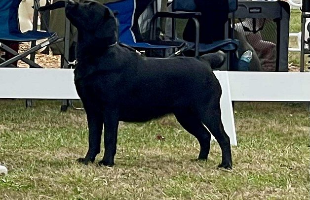 Mt Rainier Specialty 2025_Spinner