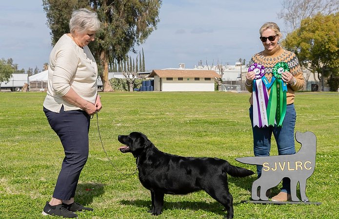 SJVLRC 2025_Goldie RWB BP