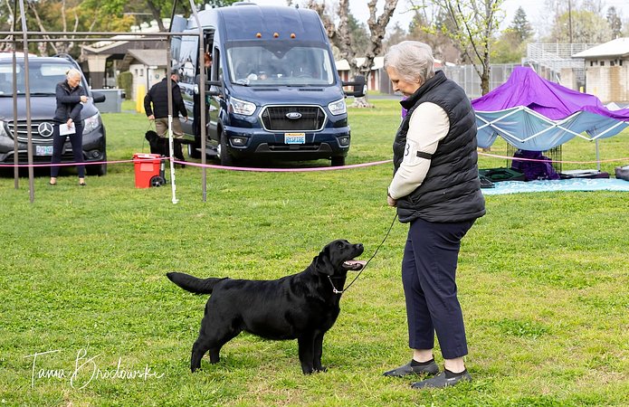 SJVLRC 2025_Goldie 1