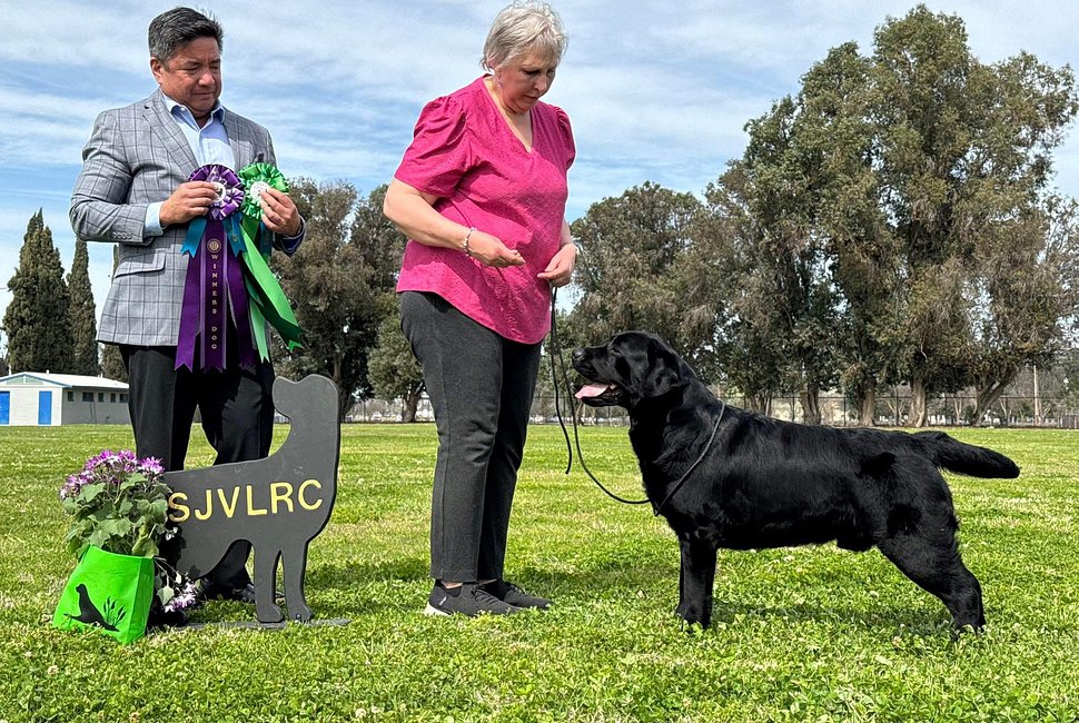 2025 SJVLRC WD BOW BBE New Champion